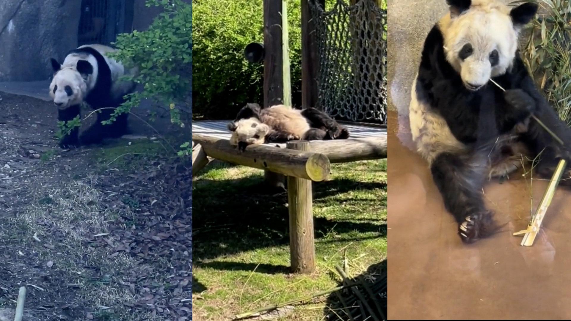 亚冠半决赛赛程日期表，亚冠半决赛赛制