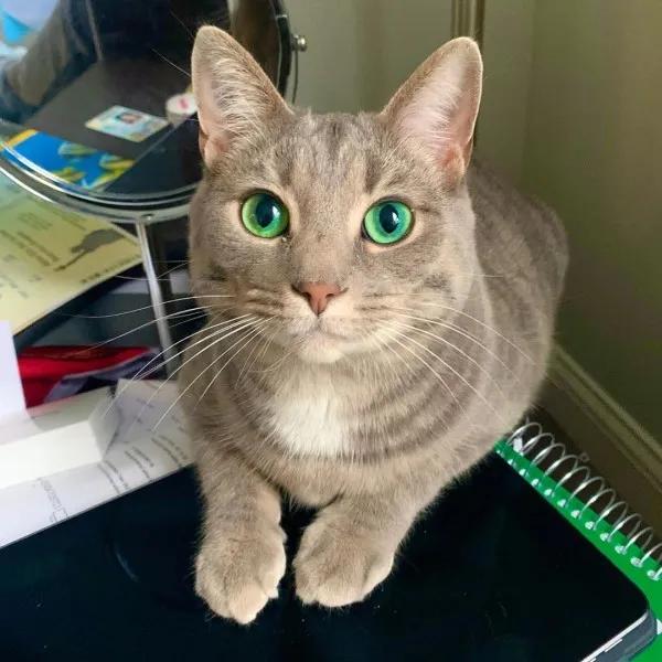 梦见腿毛浓密的心理学解析与运势指南 梦见腿毛浓密的心理学解析与运势指南