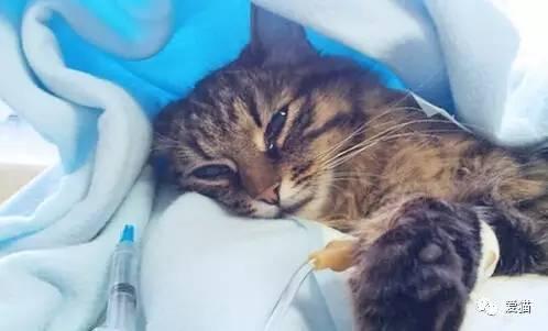 这不是病毒！1分钟教你删除“聚划算”强制推广