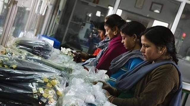 揭秘!印度华人在当地从事哪些行业,经济生活水平怎样? 揭秘!印度华人在当地从事哪些行业,经济生活水平怎样?