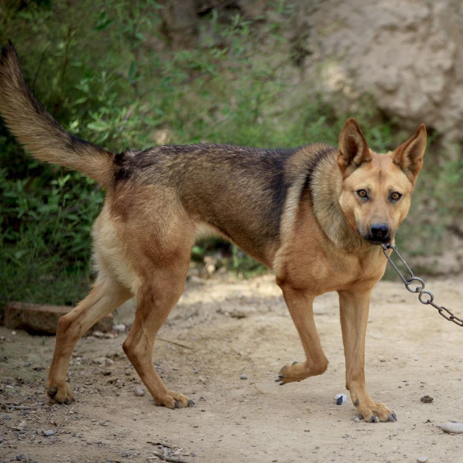 买个奔驰C级很丢人吗？看完网友评论简直太真实了