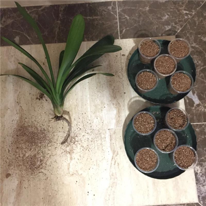 现代特拉卡到底值不值得买？2024最新报价全解析