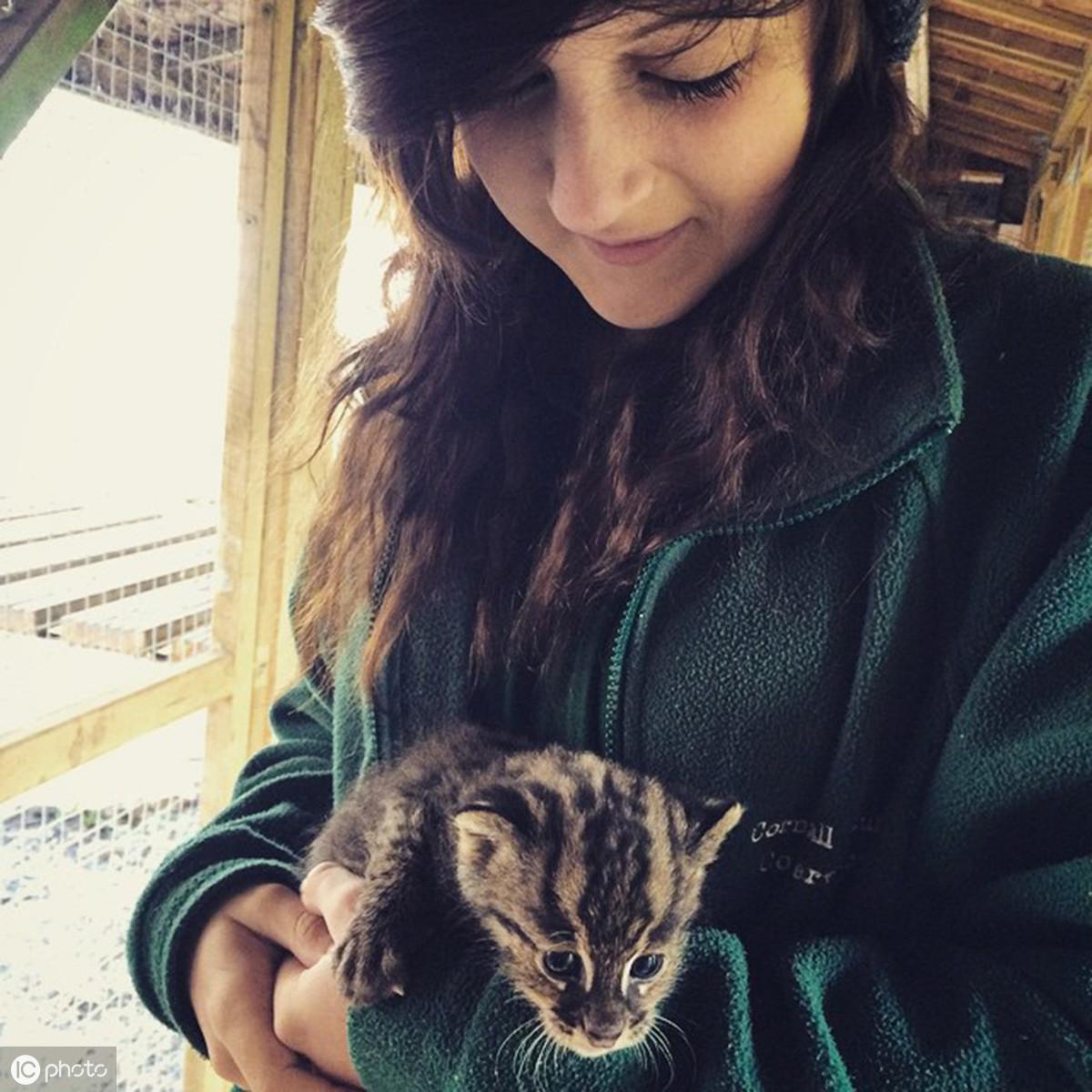 在英国想养宠物却找不到门路?华人论坛认领攻略来了! 在英国想养宠物却找不到门路?华人论坛认领攻略来了!