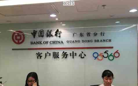 【中国银行客服电话】【信用卡及贵宾专属热线一并知晓】 【中国银行客服电话】【信用卡及贵宾专属热线一并知晓】