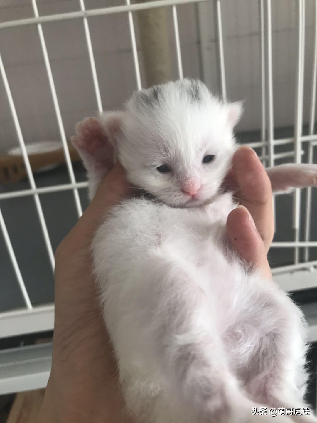 途观1.8T怎么样?实测油耗8.5L 百公里 家用车痛点破解 途观1.8T怎么样?实测油耗8.5L 百公里 家用车痛点破解