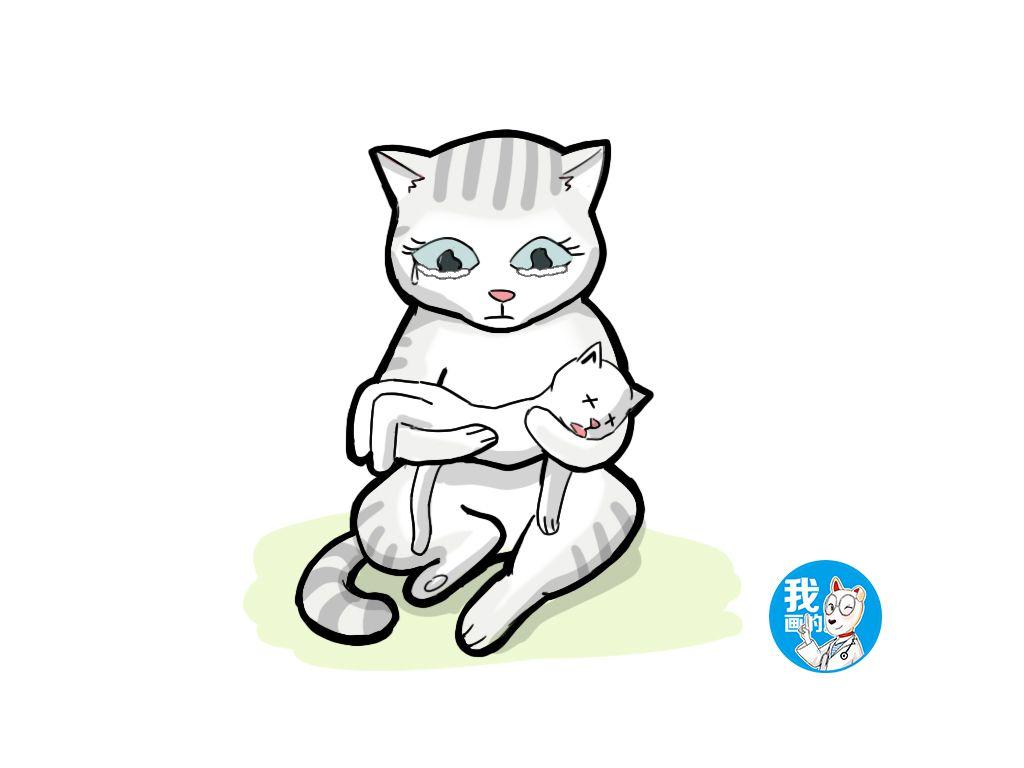 刚满月的小奶猫能喝牛奶吗？