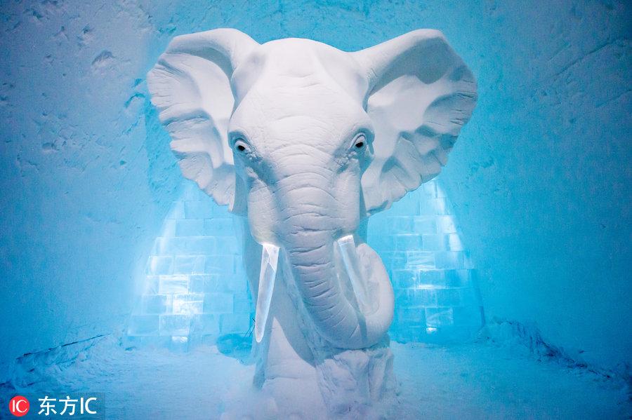 在瑞典生活的华人都在哪些论坛抱团取暖？