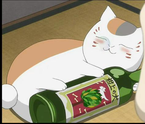 如何用猫咪表情包成为聊天室人气王？