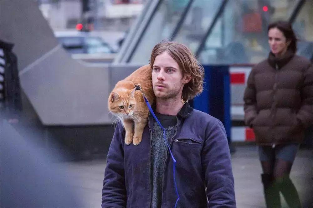 老章谈淘宝信息层面售假排查违规的案例