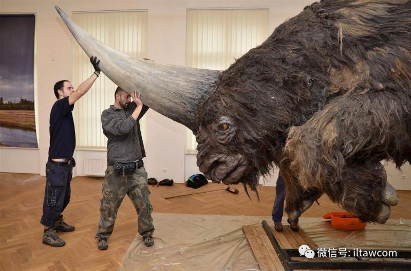 想知道哪里可以买到尼斯巨兽的模型？这些靠谱渠道揭秘，收藏爱好者别错过