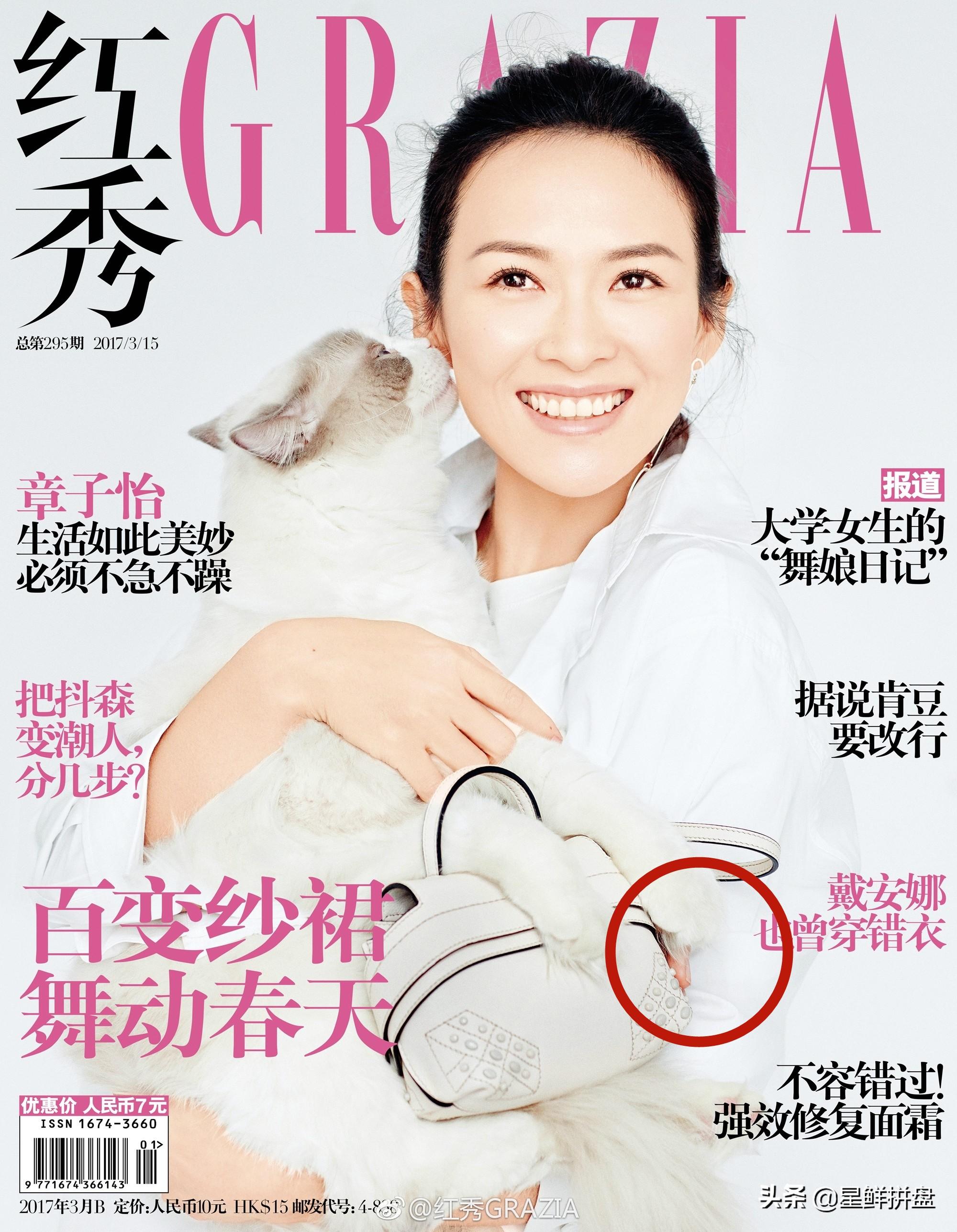 新手拍猫猫咪视频为啥总翻车？