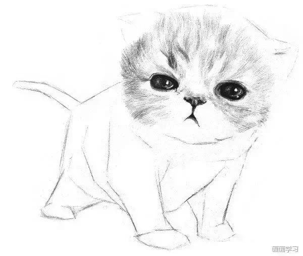 零基础能跳好小猫咪舞蹈吗? 零基础能跳好小猫咪舞蹈吗?