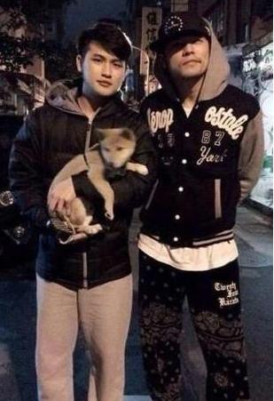 你家猫主子半夜开演唱会吗？