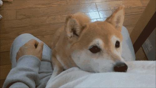 梦到鼻头的7层隐喻与转运法则