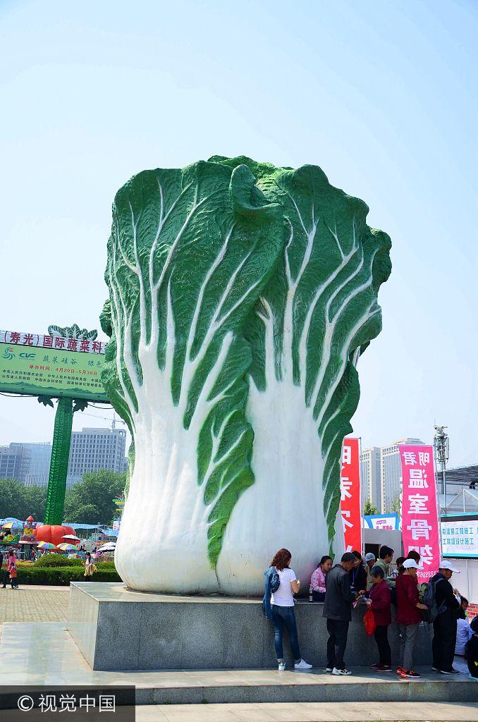 美洲杯到底怎么追？新手看这篇就够！