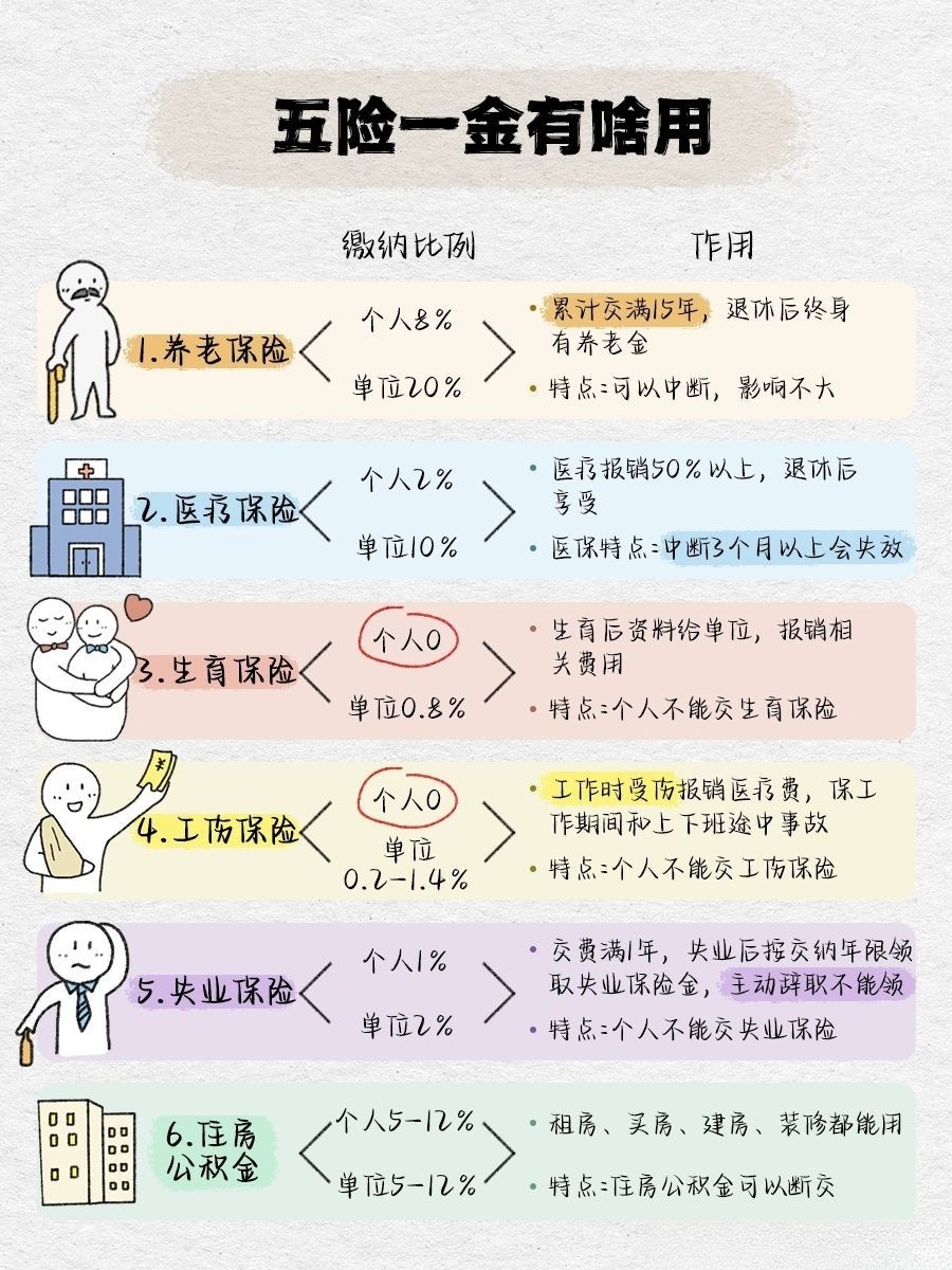 五金一险包括哪些？断缴会有啥影响？关键知识点别错过！