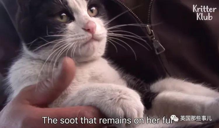 为什么四柱算命能算准你的前半生? 为什么四柱算命能算准你的前半生?