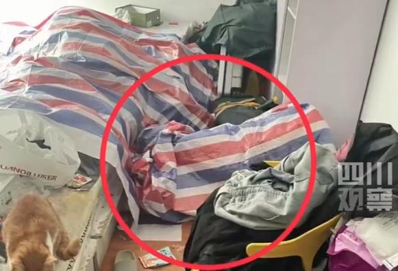 日产视频乱码一二三到底有什么区别? 日产视频乱码一二三到底有什么区别?