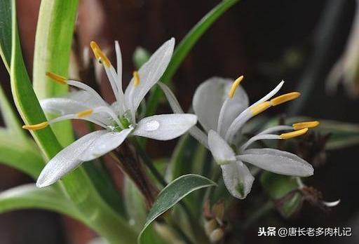 新手小白买二手奔驰C级真的靠谱吗？