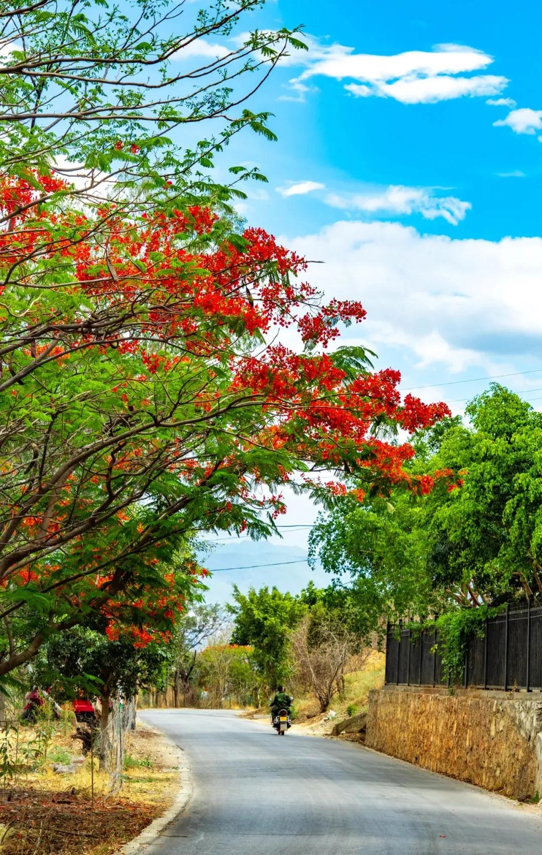 为什么公路片里的主角总在不停赶路？