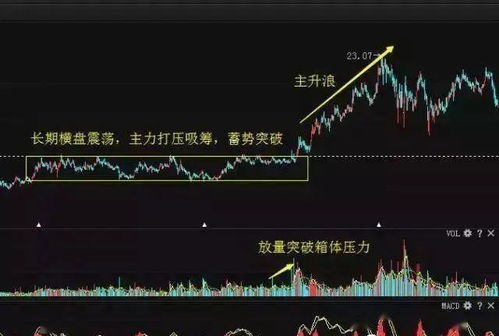 股票技术分析入门教程_常用指标有哪些？