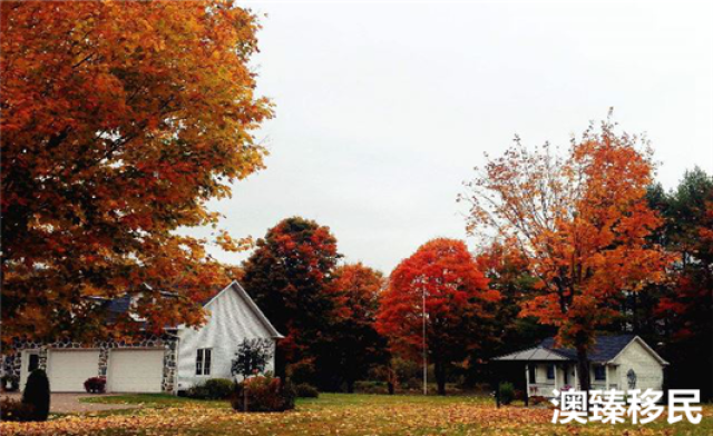 华人在加拿大的真实生活好不好？