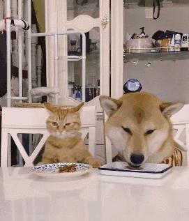 梦见骑大红马狂奔预示什么？周公解梦与心理玄机深度解析