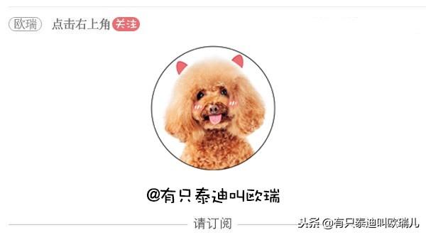 宝马4系敞篷跑车值不值得买？