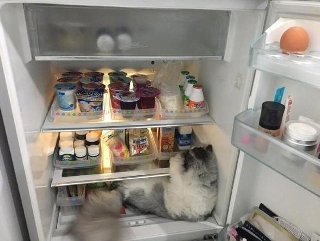 如何避免购车预算超支？汽车之家东风本田这3个省钱技巧必看