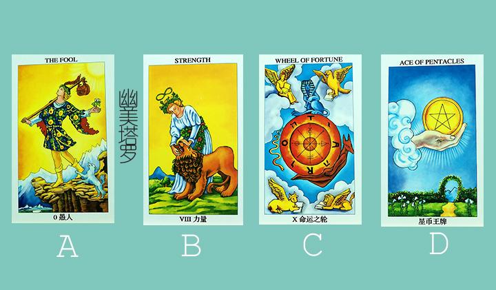 猫咪关笼子久了真的会发疯吗？