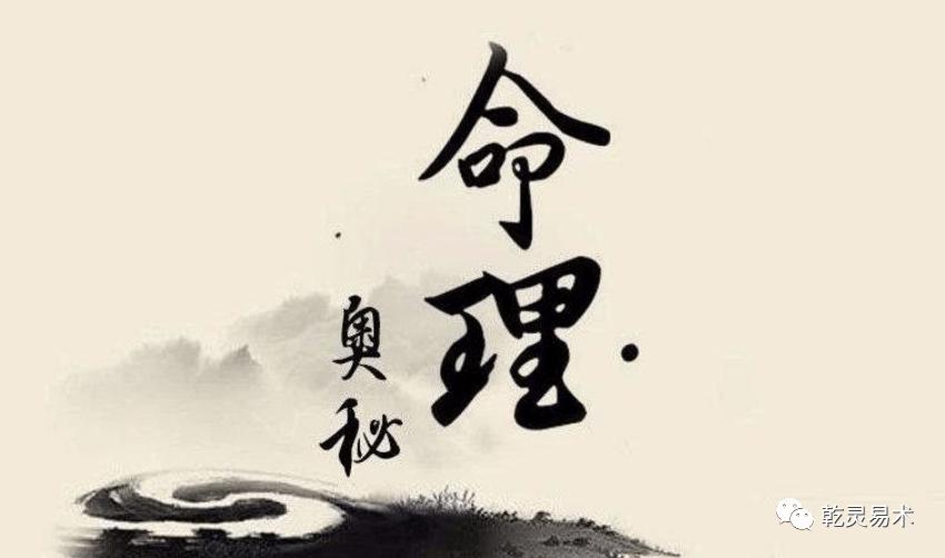 猫咪视频突然加载不出来？这七招能救急！