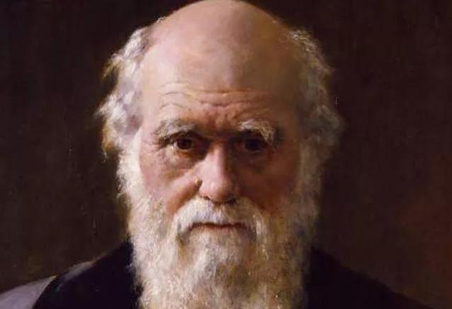 生肖和星座到底能决定你的运势吗？