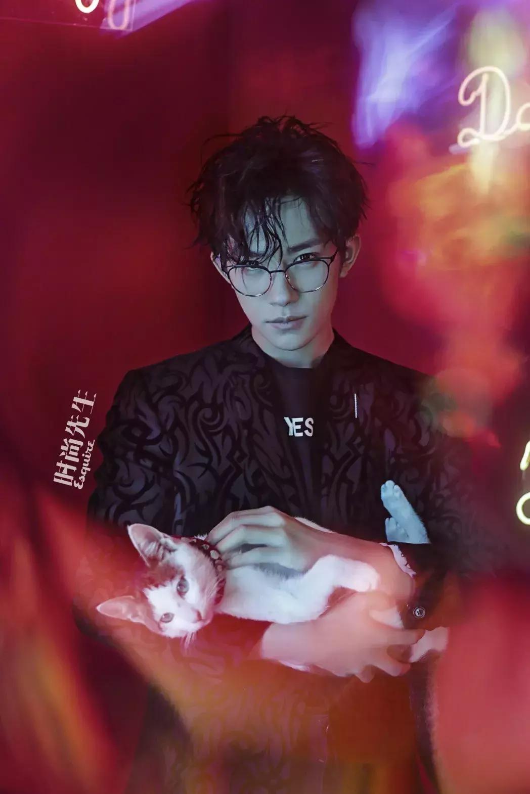 猫咪眼睛肿成核桃还流眼泪？新手必看紧急处理指南