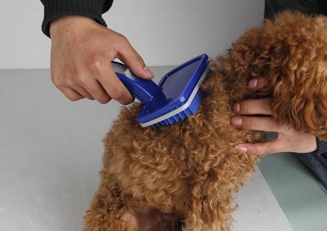 乐风RV真的适合新手第一辆车吗？