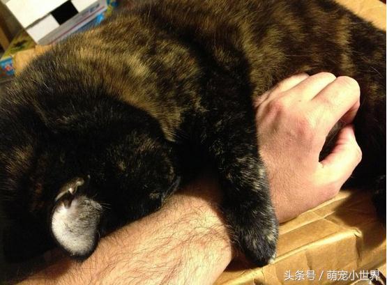 香港闫显明律师事务所- 专业香港律师及中国大陆律师