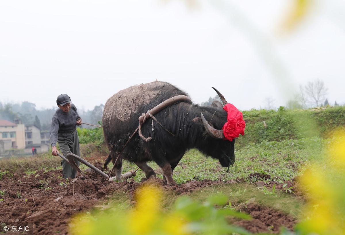 2014年立春那天到底发生了什么？