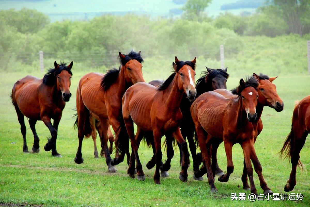 为什么拉比平托让新手玩家集体破防? 为什么拉比平托让新手玩家集体破防?