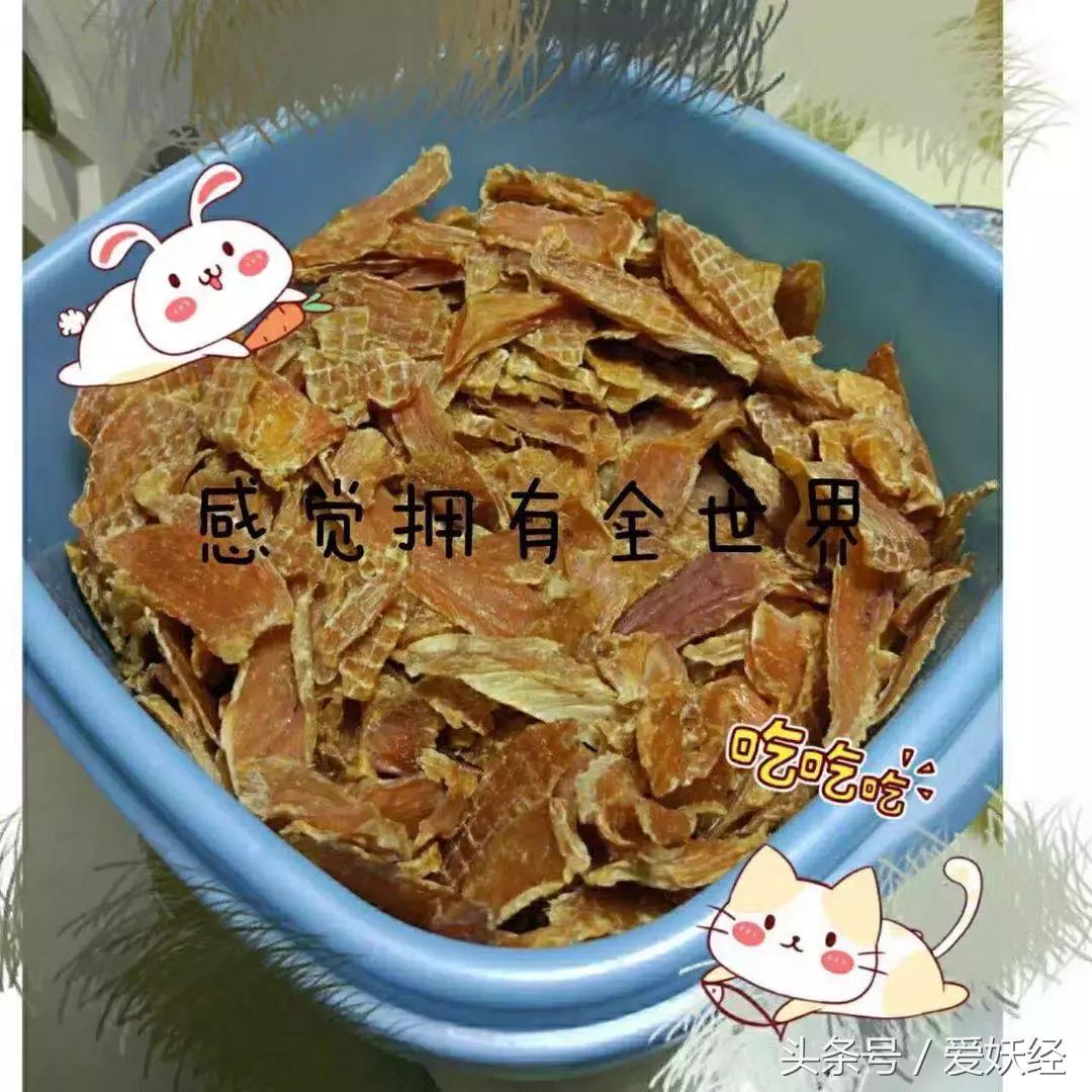 找不到猫咪社区官网入口？别慌！