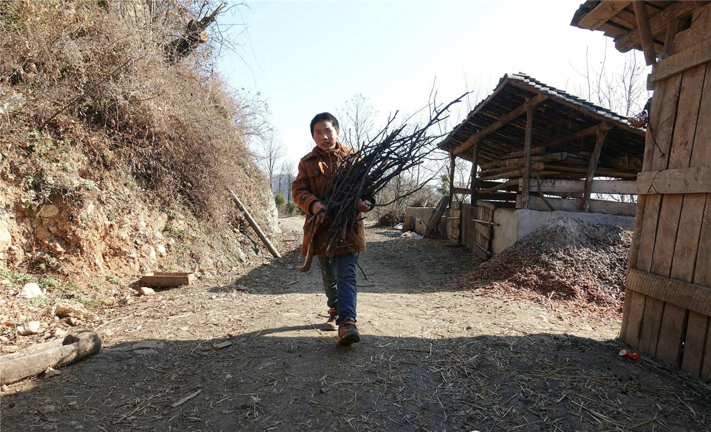 “一言九鼎”到底对应哪个生肖？