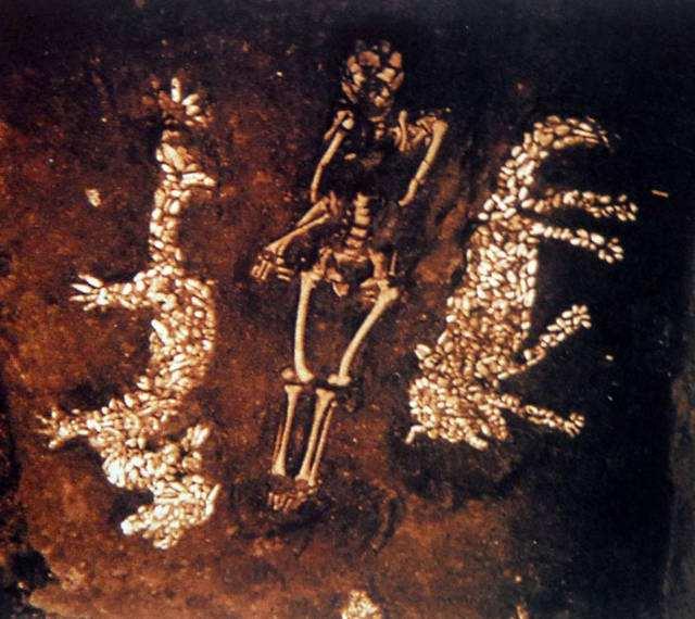 1987年出生的人到底属兔还是属虎？