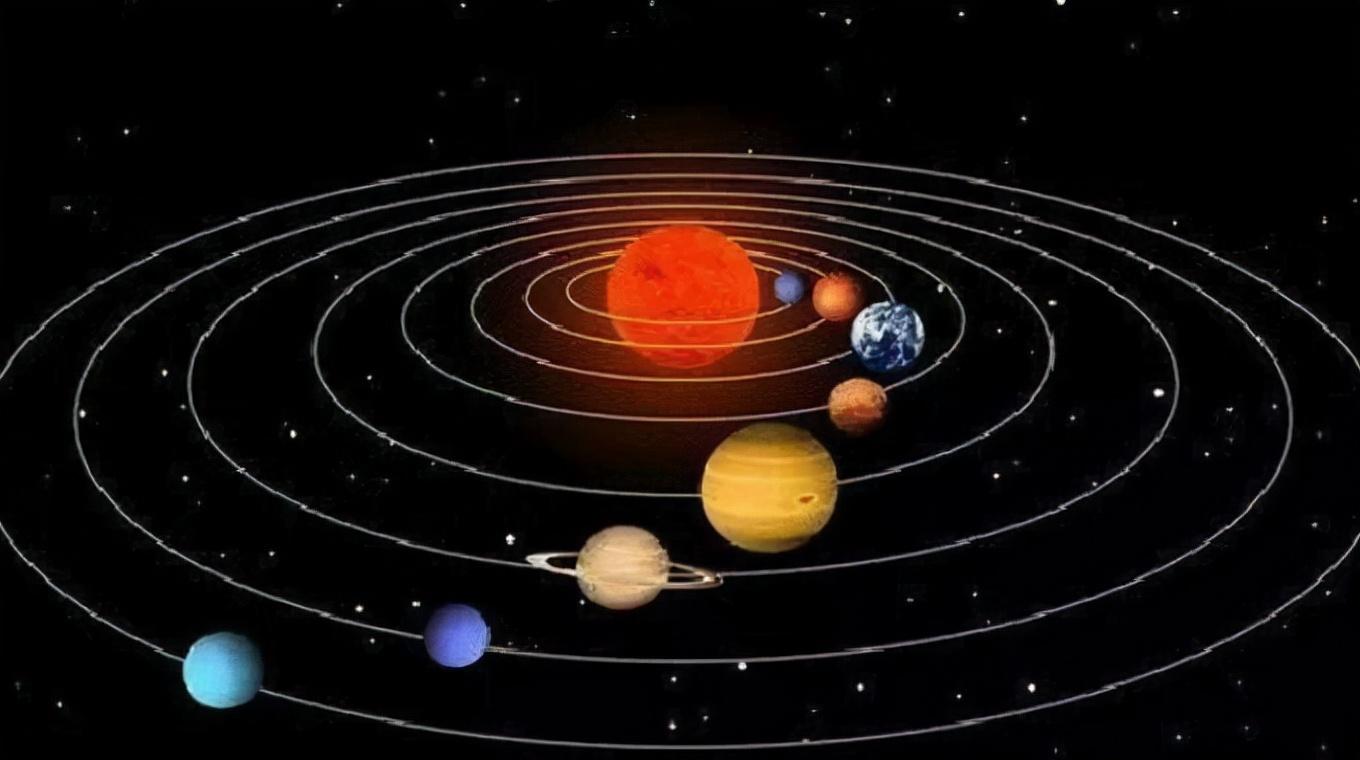 猫咪软便三天没停？新手如何应对奶猫腹泻危机？