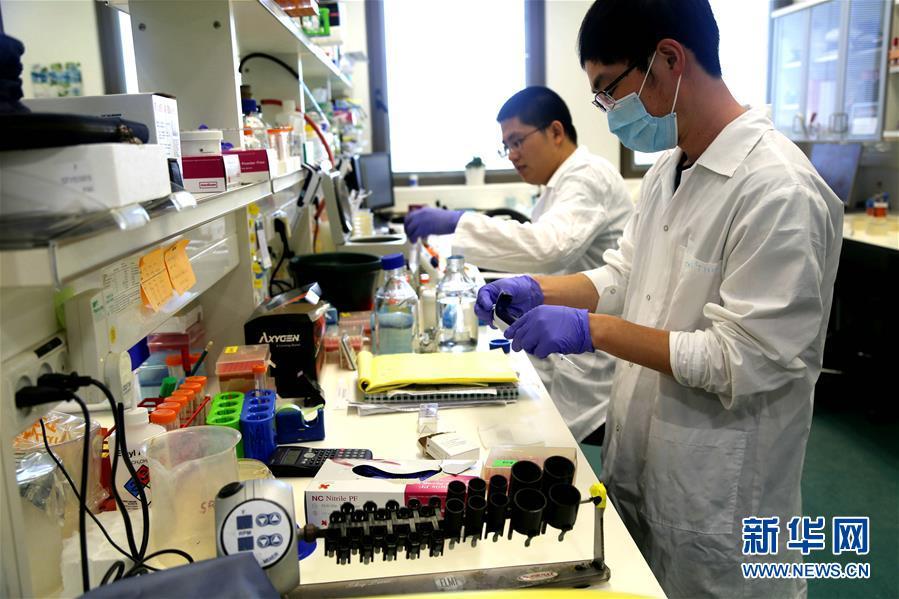 在以色列不会希伯来语怎么活？