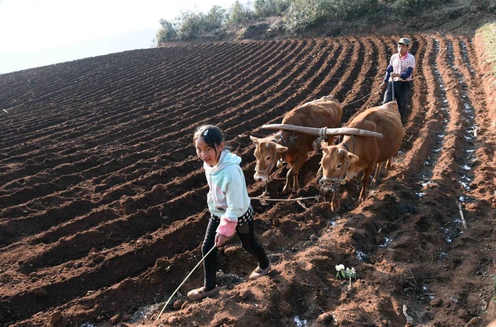 3月25日到底藏着什么秘密? 3月25日到底藏着什么秘密?