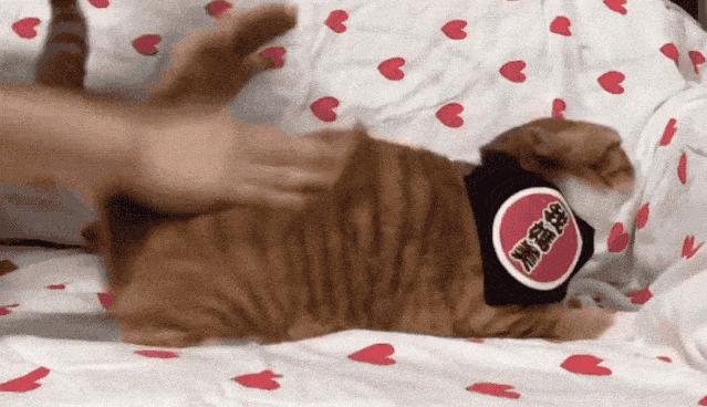 Baccarat Extrait: Parfum Mewah dengan Aroma Khas dan Identitas Seni