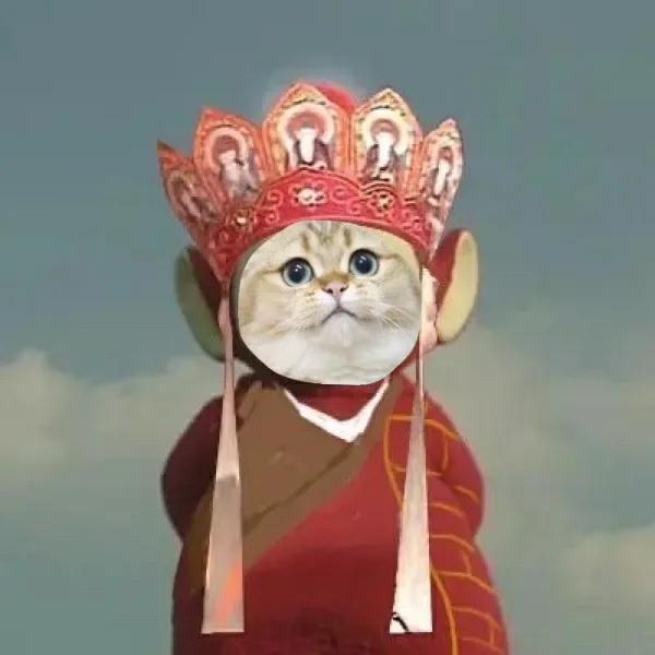 为什么我家猫总把尾巴竖得像天线？