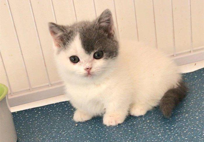 为什么你的群聊总像在玩单机游戏? 为什么你的群聊总像在玩单机游戏?