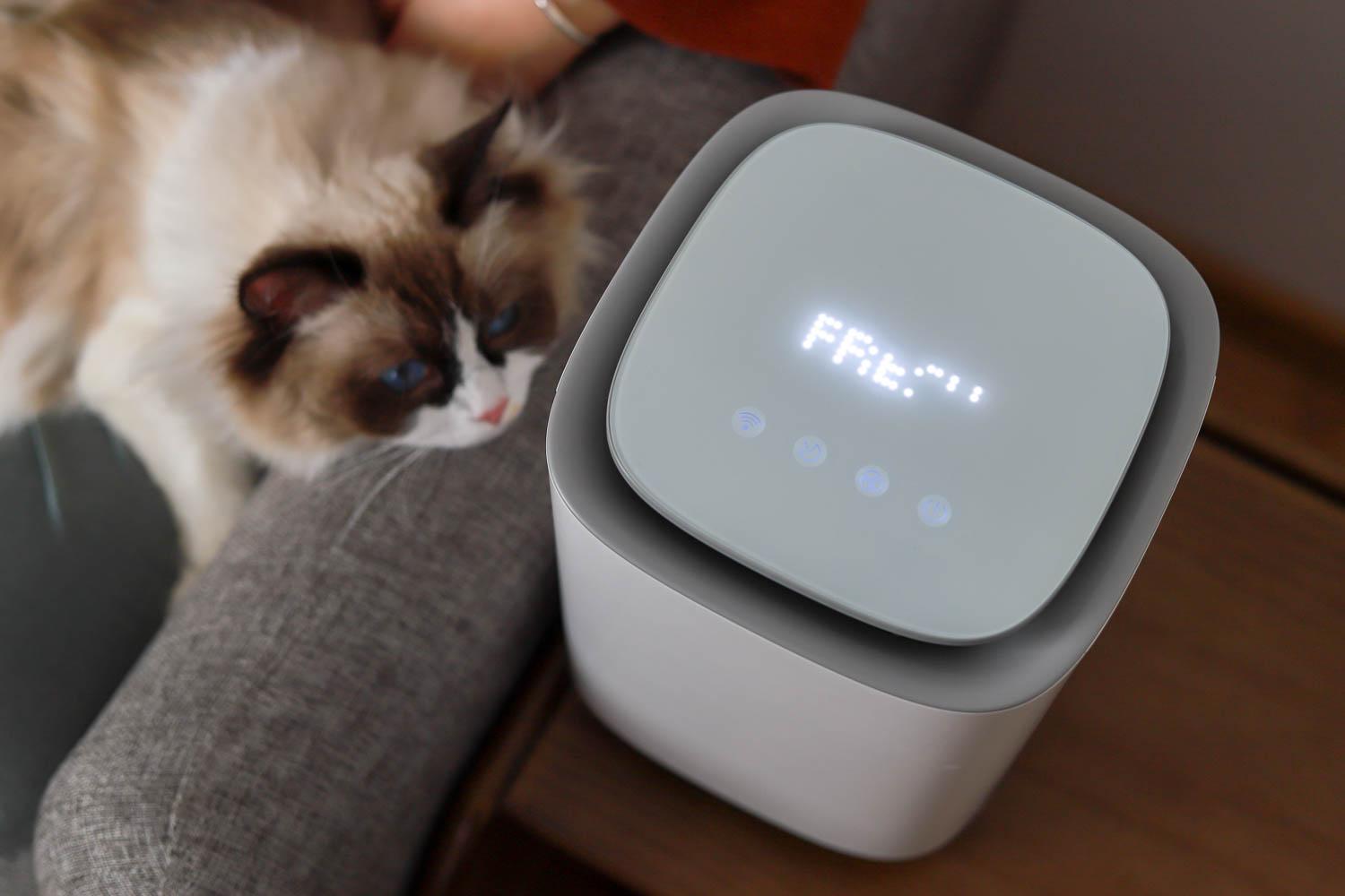 为什么我家猫咪总像在说悄悄话？