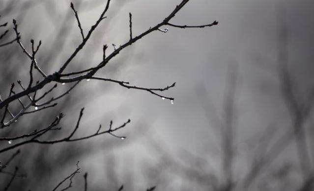 梦见中年女人预示什么？心理学解析与7大现实预警