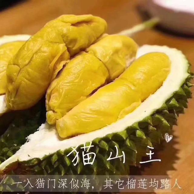 猫闻到榴莲味会自己扑上来吃吗？