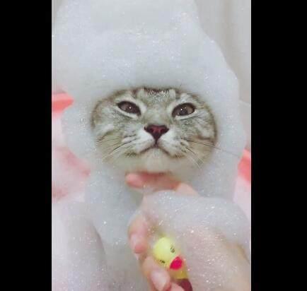 二手帕萨特买前必看:5年车主教你省3万避坑指南 二手帕萨特买前必看:5年车主教你省3万避坑指南